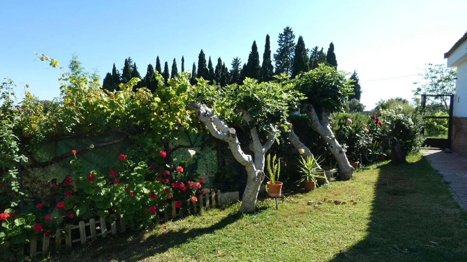 Mis Tres Rosas Villa La Barca de la Florida 0*,  Spain